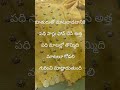 Motherinlaw Daughterinlaw Lifequotesintelugu Quotes