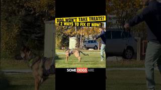 2 Things That WILL Work When Your Dog REFUSES TREATS - Try This Now!