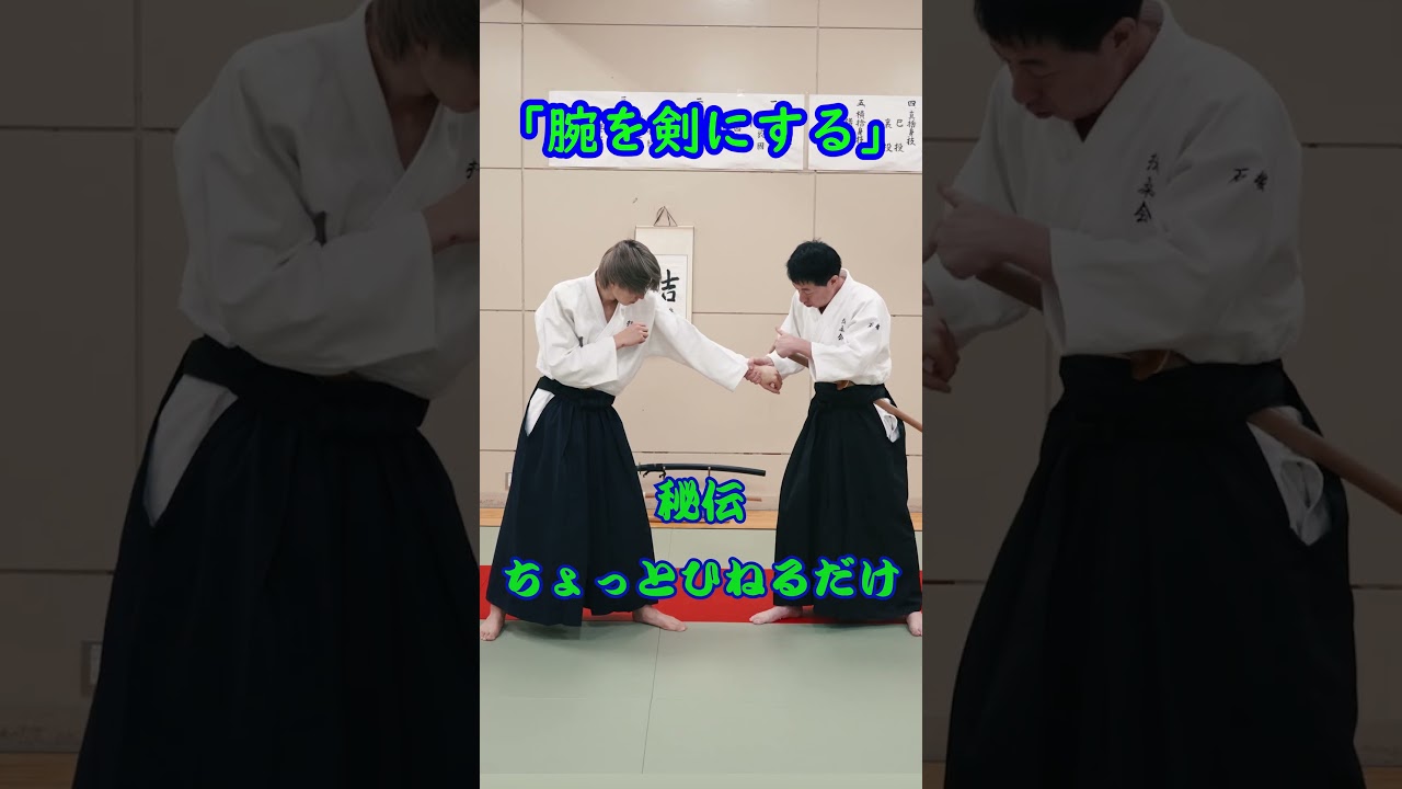 【剣の威力】体術に剣の考え方を応用するとパワーがスゴイ　#martialarts #大東流合気柔術 #扶桑会 #合気道 #護身術 #aikido #daitoryu #karate