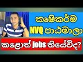 Agriculture NVQ Courses In Sri Lanka Jobs Availability And Other Opportunities