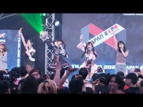 20240204 Icezu&Guest Nyanderful life Fancam Focus