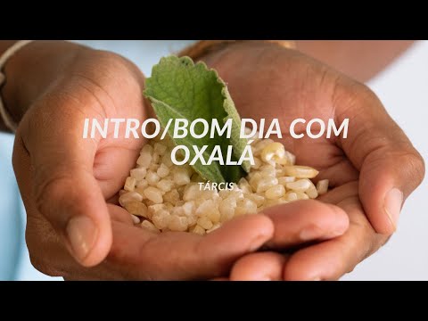 Tarcis - INTRO/BOM DIA COM OXALÁ (Visualiser)