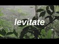 levitate // twenty one pilots (lyrics)