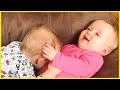 Funny Baby Laughing Hysterically Compilation 5 Minute Fails