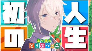 【 あつまれ どうぶつの森 】シリーズ初体験の島生活【Vtuber】