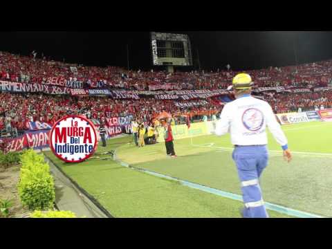 "Medellín mi gran amor / La magia de Marrugo" Barra: Rexixtenxia Norte • Club: Independiente Medellín