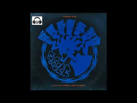 RADICAL STUFF – Summer Fever (1994)