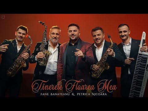 Fane Banateanu & Petrica Nicoara - Tinerete floarea mea 🌹