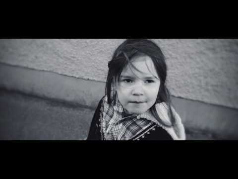 Me The Tiger - Never Said I