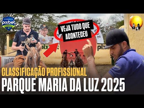 LIVE VAQUEJADA | PROFESSIONAL CLASSIFICATION PORTAL | VAQUEJADA AT MARIA DA LUZ PARK 2025