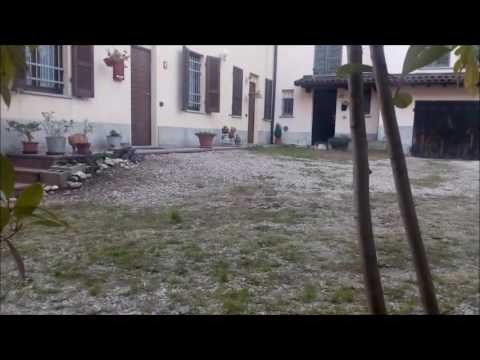 Garfield  -  Into the Wild