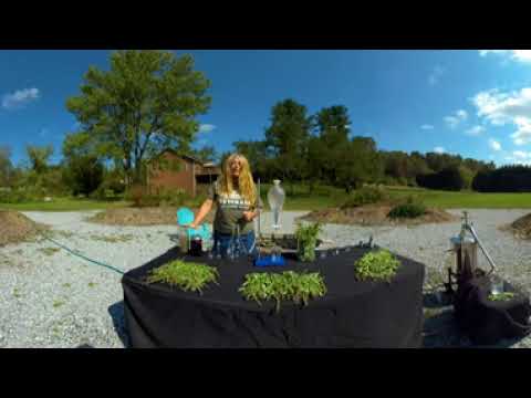 Medicinal Herbs Distillation