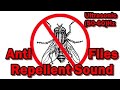 Anti Flies Repellent Sound - Ultrasonic(50-60)Hz  #chasefliesaway #noflies #stopflies #antiflies