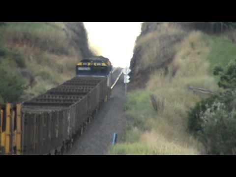 pacific national NR114 with NR112 and 8252 on 2NP3