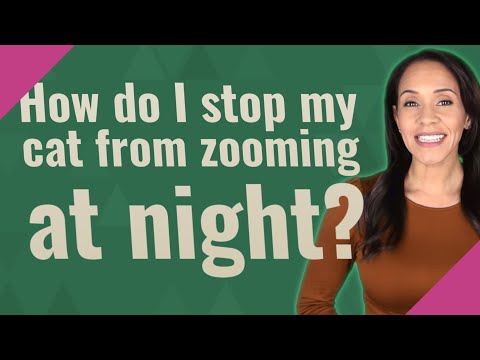 How do I stop my cat from zooming at night?