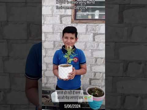 केवी सेंट्रल यूनिवर्सिटी ऑफ पंजाब, घुद्दा ने 05/06/24 को विश्व पर्यावरण दिवस मनाया