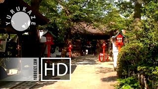 preview picture of video '155. Walking at Ubutama Shrine in Sendai City - Japan'