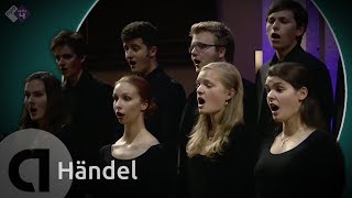 European Union Baroque Orchestra - Händel: Conc. Gr. Op. 3 nr. 2, Ode for the Birthday of Queen Anne
