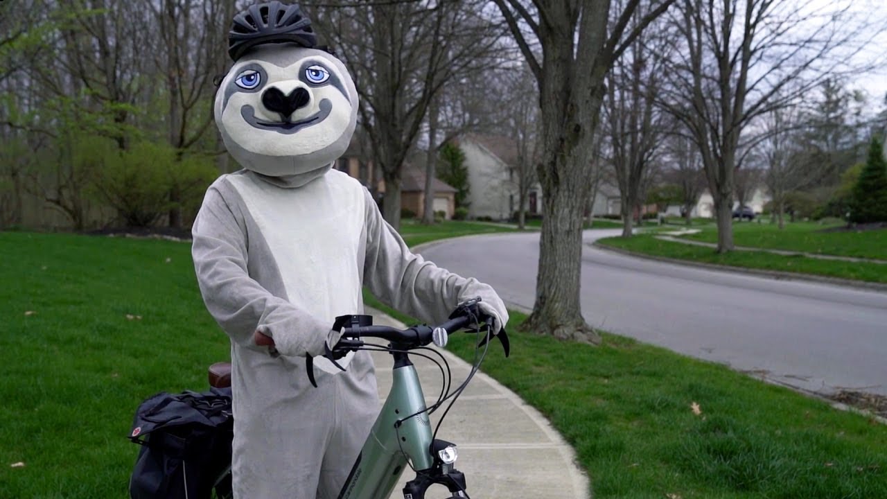 Slow Down Sloth: Slow Your Roll