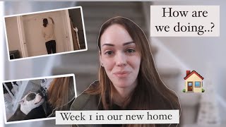 We are moved in! Progress thus far ..