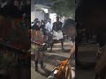 Alwarthoppu Tranding Dance Karakattam Thirunelveli Thoothukudi Reelsshorts