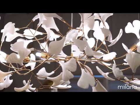 Milana's Bestselling Chandeliers