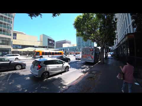 The Wiltern (Los Angeles, CA)