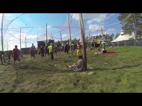 Psychedelic circus 2013