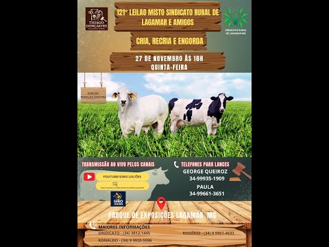 Leilao Sindicado Rural de Lagamar e Amigos  27-11-2025