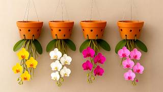 Bloom 2x More Flowers with Upside Down Orchids!