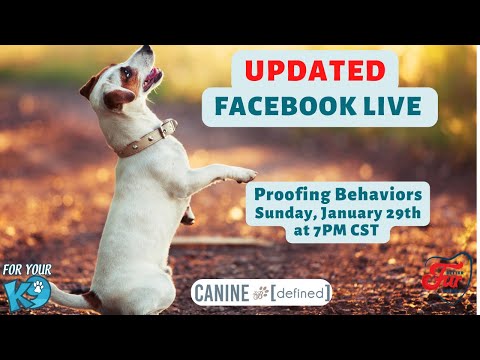 YouTube video about Proofing Behaviors and Troubleshooting