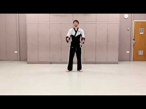 Matrix Martial Arts Syllabus Video No.18 - Jump turn axe kick