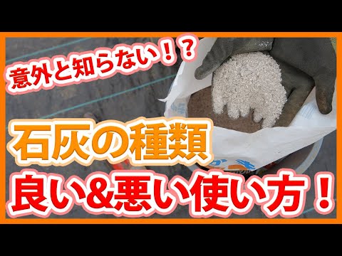 白いペンキの果樹