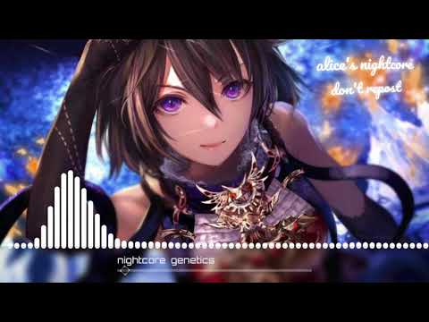 ·nightcore· genetics