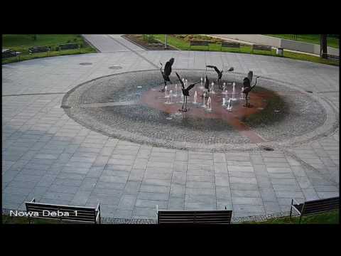 Lasowiak TV – transmisja na żywo