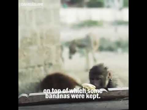 Don’t follow others blindly