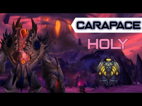 Mythic Carapace  - Holy Paladin POV - Ny'alotha