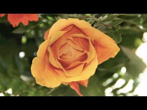 Take it easy, boy boy