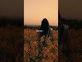 Modern Talking Cheri Cheri Lady Slowed Reverb Lyrics Astheticsbeats Music Edit Song Fypシ