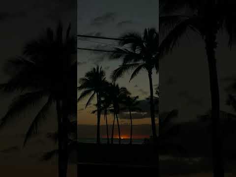 MMT CHANT X FAKALAVELAVE