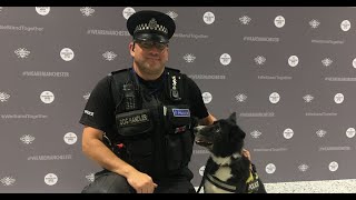 ✅  Heroic police dog first on scene after Manchester Arena attack dies