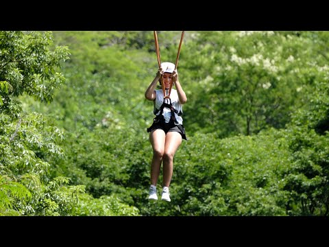 Terra dos Dinos 2 Tirolesa Passarela