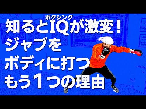強い人は知っている！知ると強くなる！ジャブをボディに打つもう１つの理由！ボクシング tomitt トミット