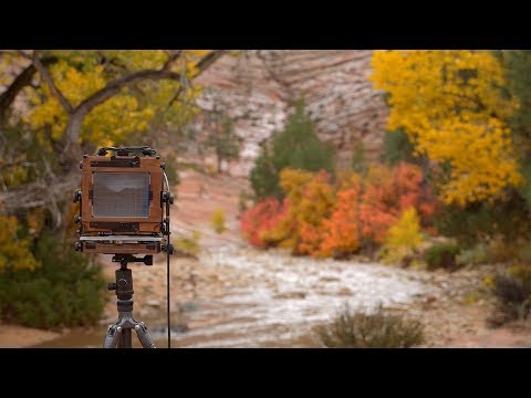 Another Spectacular, Rainy Day in Zion National Park | Large Format Landscape Photography