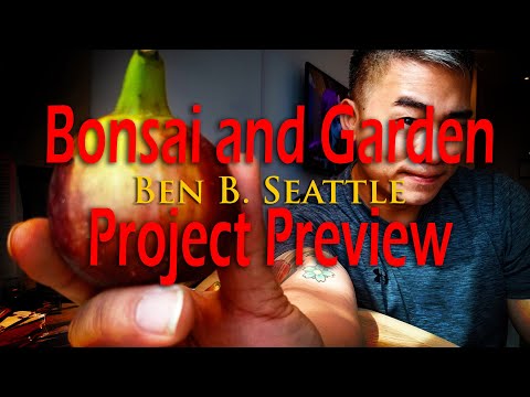 Preview of my upcoming Garden and Bonsai Projects for 2020