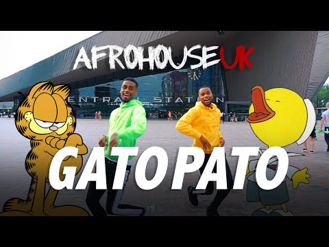 Milo & Fabio - GATO PATO  (Official Video) #GatoPatoChallenge