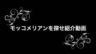 モッコメリアンを探せ紹介ムービー