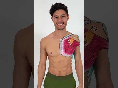 Uneven Clavicles Causing Neck & Shoulder Pain