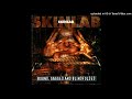 Skinlab - Promised