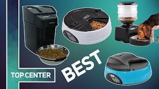 Top 10 Best Automatic feeders for Cats and Dogs